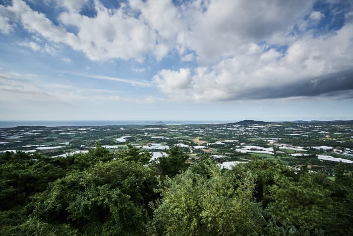 楮旨オルム(タクムルオルム、セオルム)(저지오름(닥몰오름,새오름))