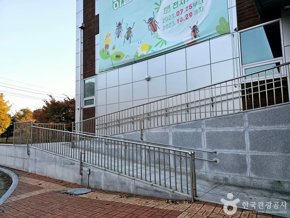 양평곤충박물관_1