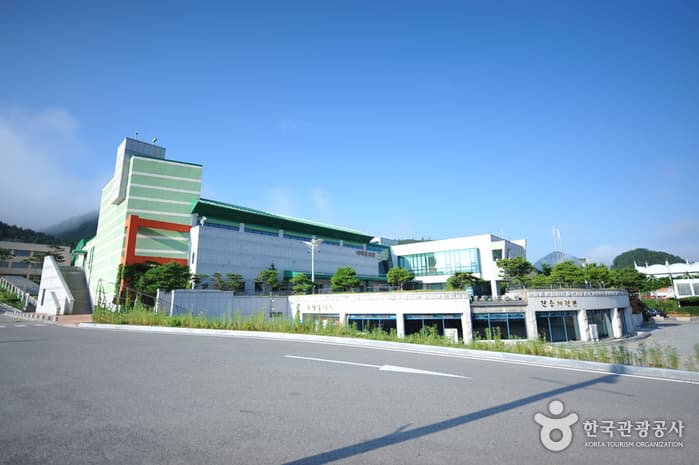 무주예체문화관