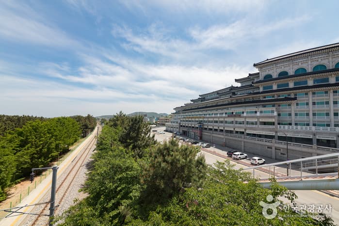 BENIKEA Donghae Boyang Hot-spring Convention Hotel (베니키아 프리미어 동해보양온천 컨벤션호텔)