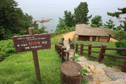 강원도_삼척시_삼척 해신당공원_048