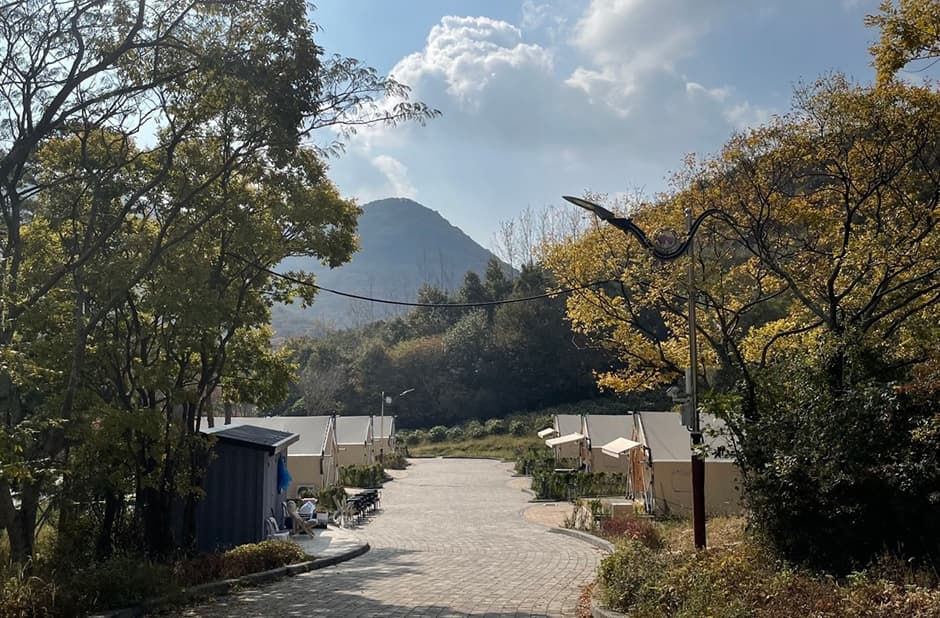 고창군 선운산 국민여가캠핑장