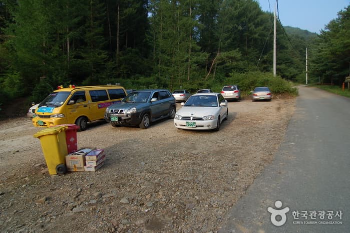 주천강강변자연휴양림_18