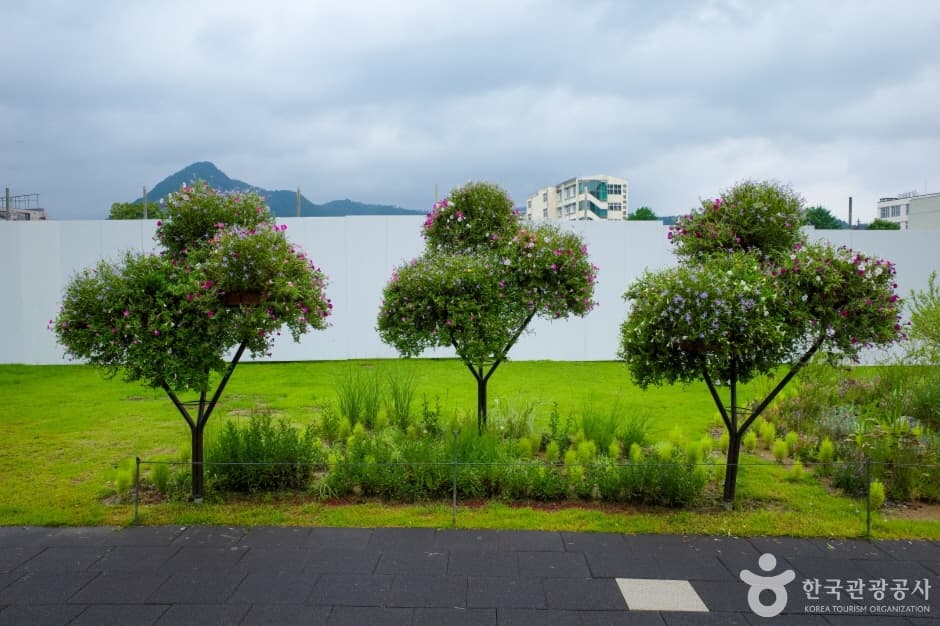 열린송현녹지광장 (8)