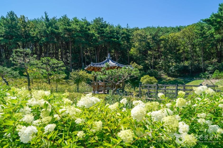 雲梯山山林浴場(운제산산림욕장)