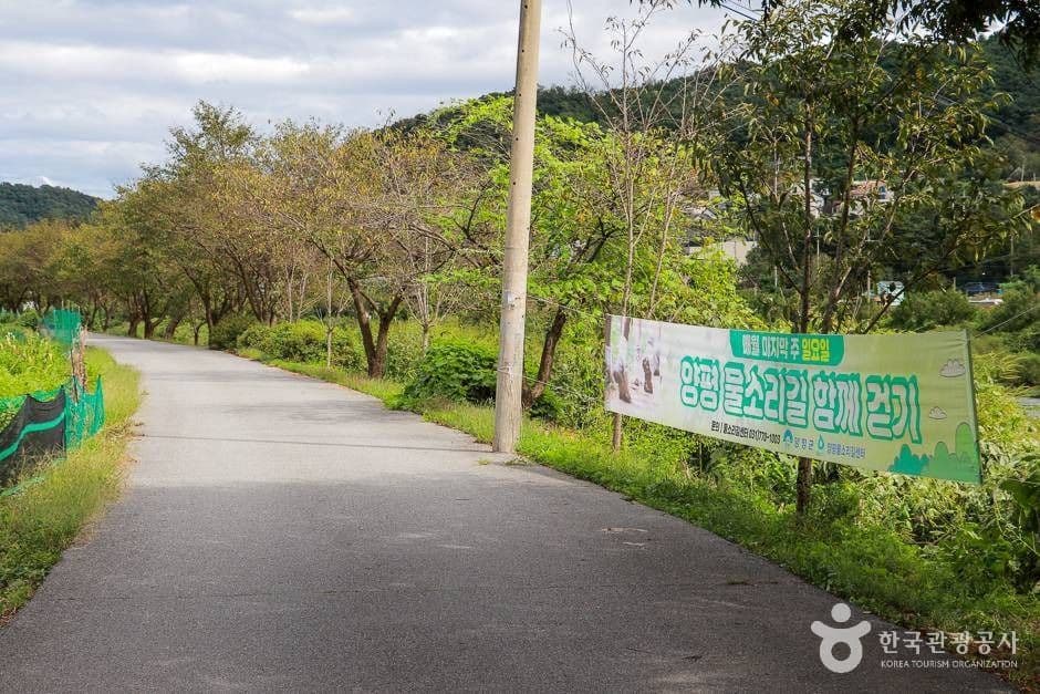 양평물소리길 (7)_e