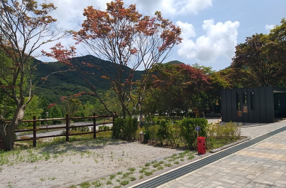 전북_고창군_고창군선운산국민여가캠핑장_캠핑장_2