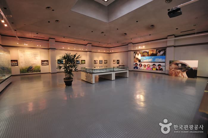 민속자연사박물관