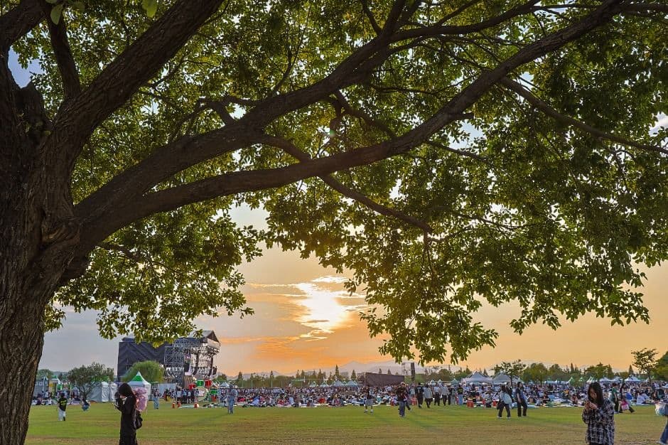 2025 부산국제록페스티벌 2