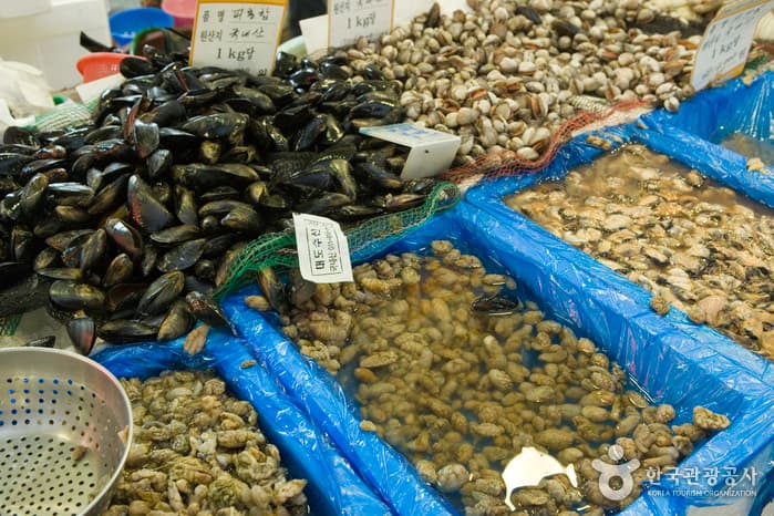 서귀포시 서귀포올레시장_3