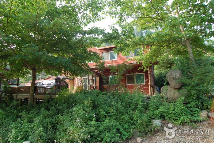 주천강강변자연휴양림_22