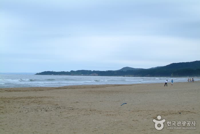 월포해수욕장_07