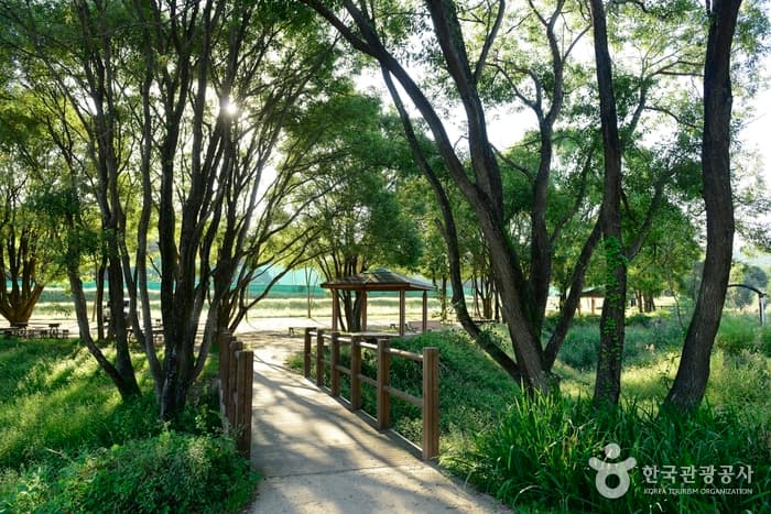 독립기념관 캠핑장