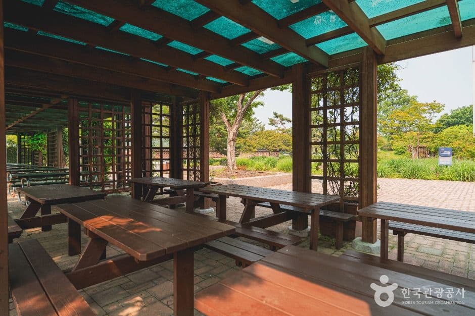 서울_국립중앙박물관 전통염료식물원 (7)