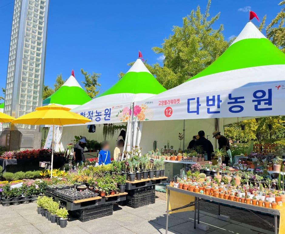 2025 고양가을꽃축제 5