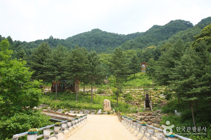 칼봉산자연휴양림_04