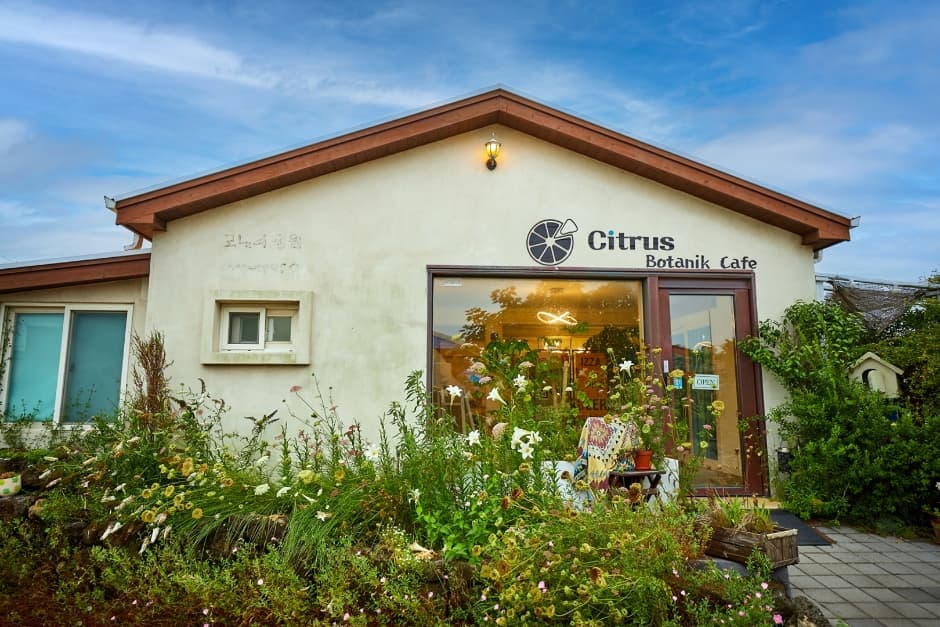 柑橘植栽咖啡廳(시트러스 가드닝 카페)