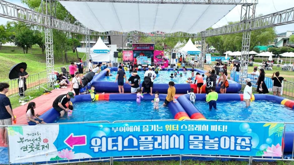 2024 부여서동연꽃축제 5