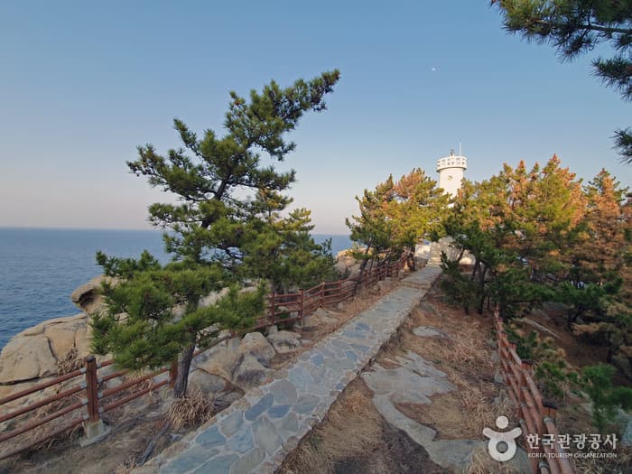 하조대 둘레길 2021 촬영 2