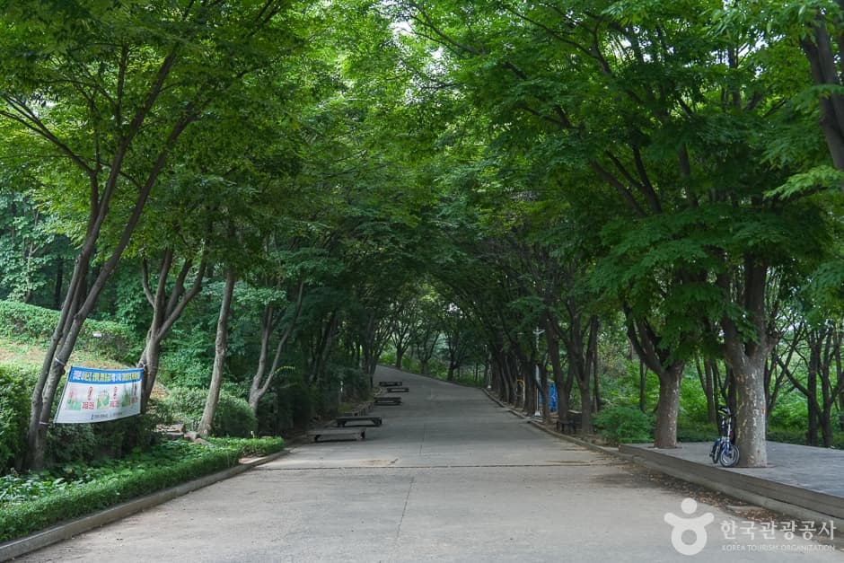 桂陽山トゥルレ道(계양산둘레길)