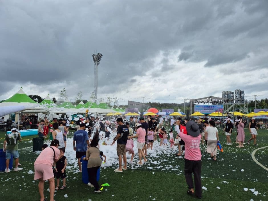 2025 세종 조치원 복숭아 축제 3