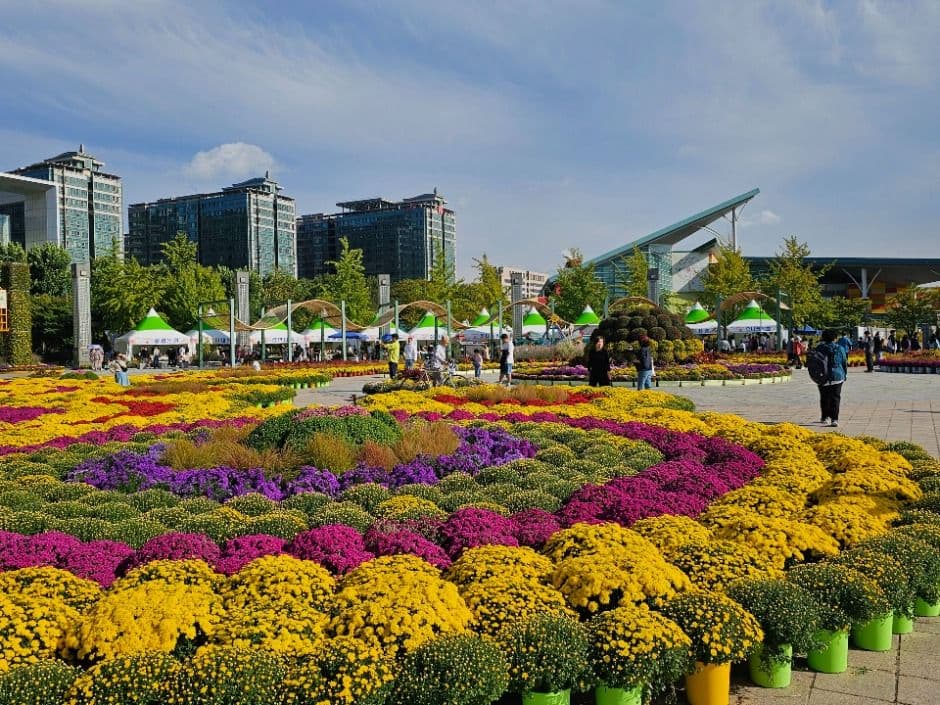 2025 고양가을꽃축제 2