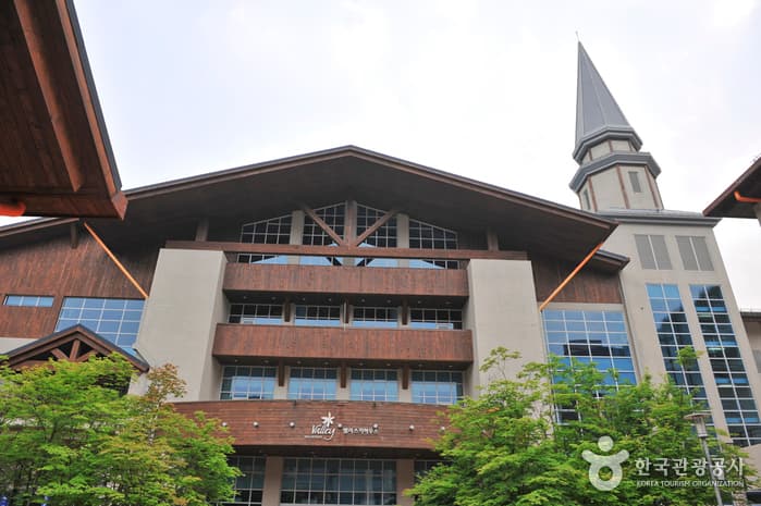 하이원휴양콘도