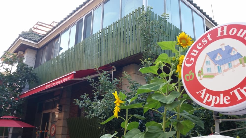 애플트리(Apple tree)(애플트리게스트하우스)