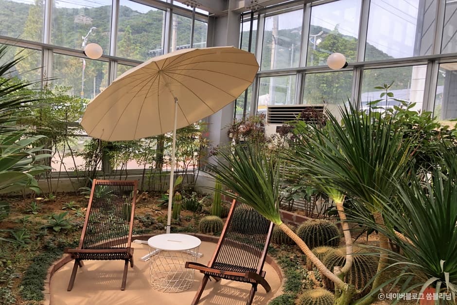 전라북도_고창군_디온실 컨서버토리_내부_2