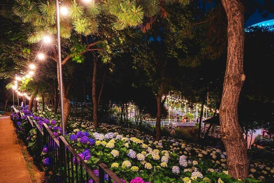 2025 장생포 수국 페스티벌 4