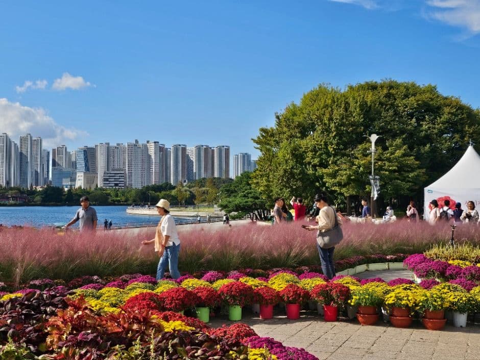 2025 고양가을꽃축제 3