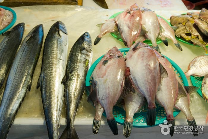 서귀포시 서귀포올레시장_5