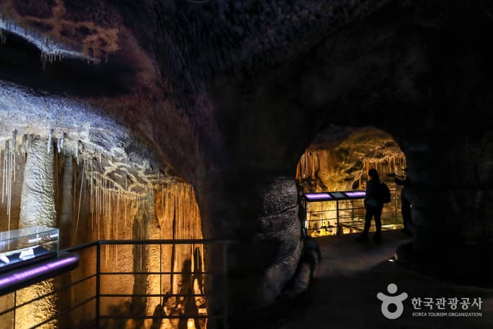 Centro del Patrimonio Natural Mundial de Jeju (제주 세계자연유산센터)