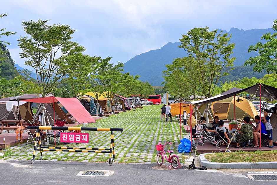 내장산국민여가캠핑장_전경1