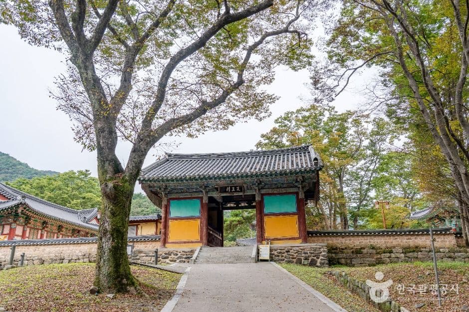 부여_무량사(부여) (6)