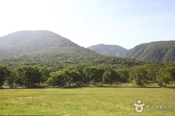 Hallasan Trekking (한라산 트레킹)