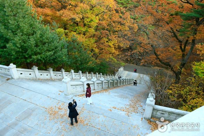 동화사 108계단_1