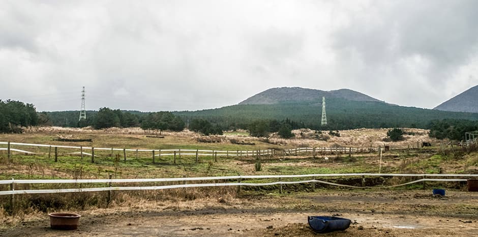 Jokeunnokkome Oreum (족은노꼬메오름)