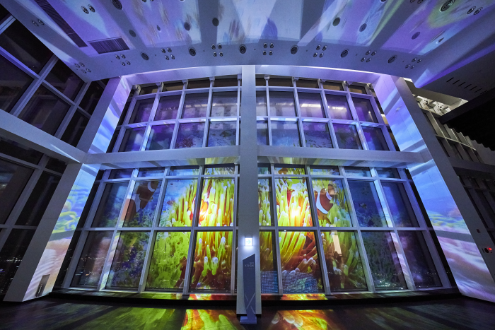 부산엑스더스카이_7