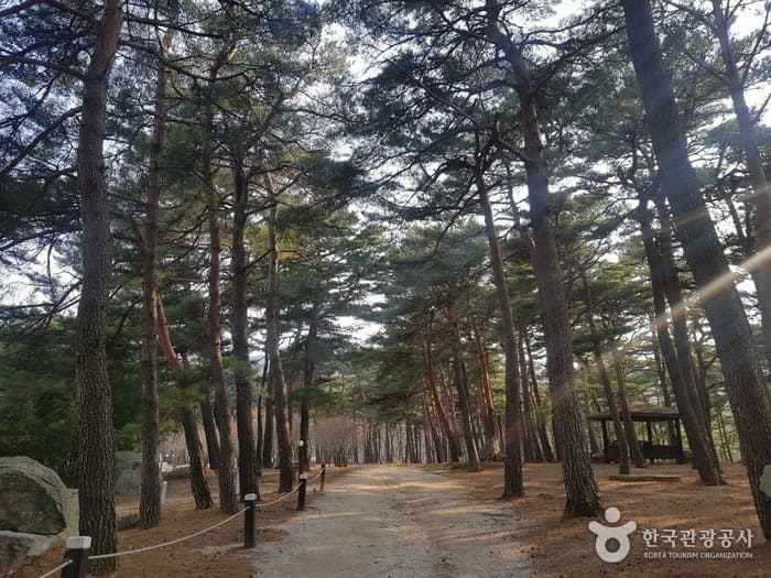 강원_척산온천휴양촌_전경 1