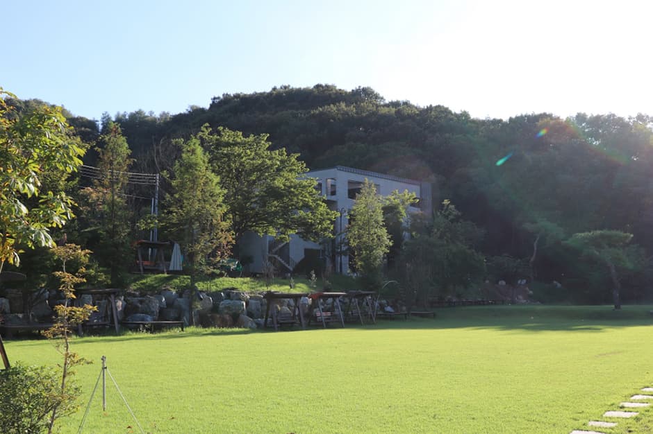 다온숲 광장전경