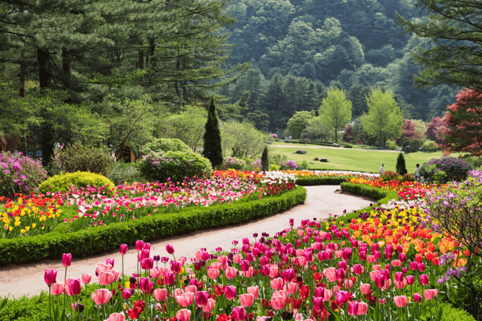 春花フェスタ(봄꽃페스타)