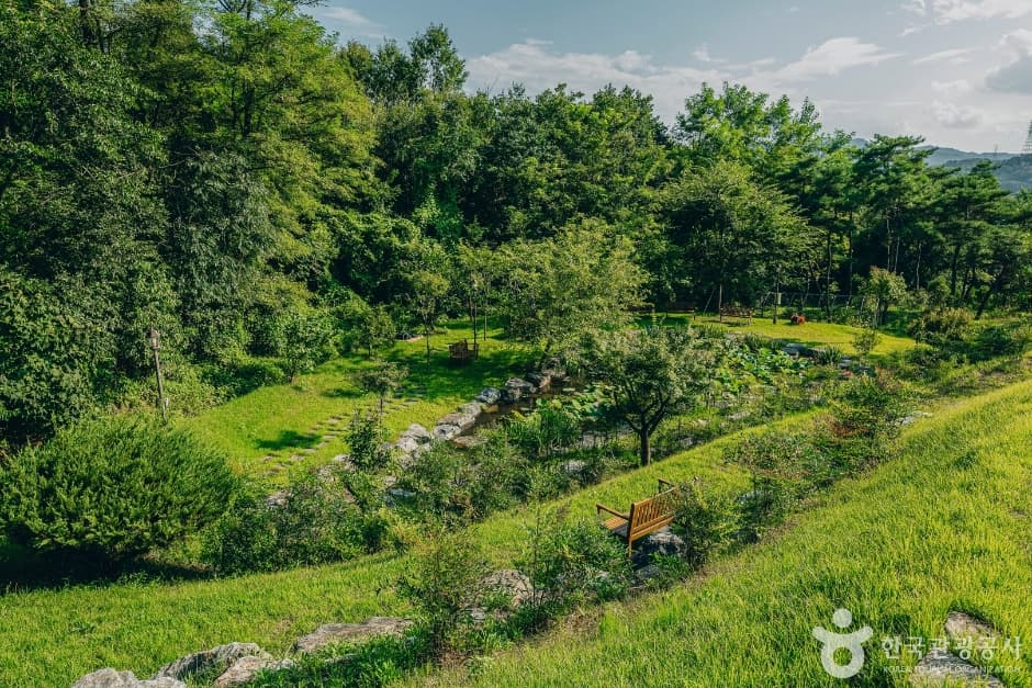 흥해배씨임연재종택_정원 1