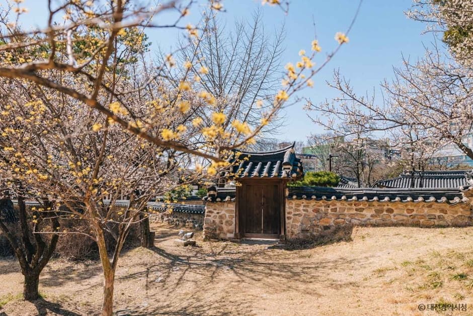 대전 회덕 동춘당 (2)