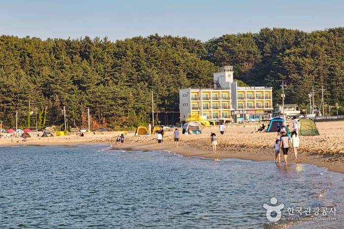 하조대해수욕장 5