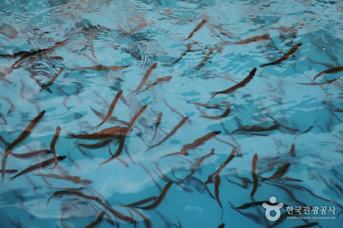 서울_광진_뚝섬눈썰매장11