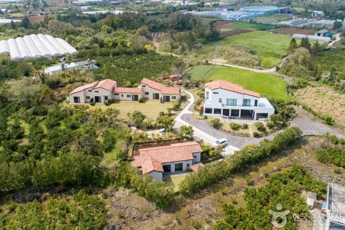 제주_틸다하우스_전경_1