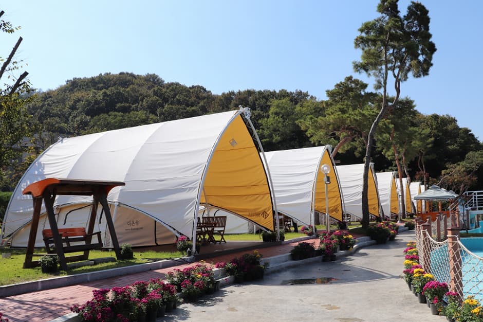 다온숲 글램핑전경