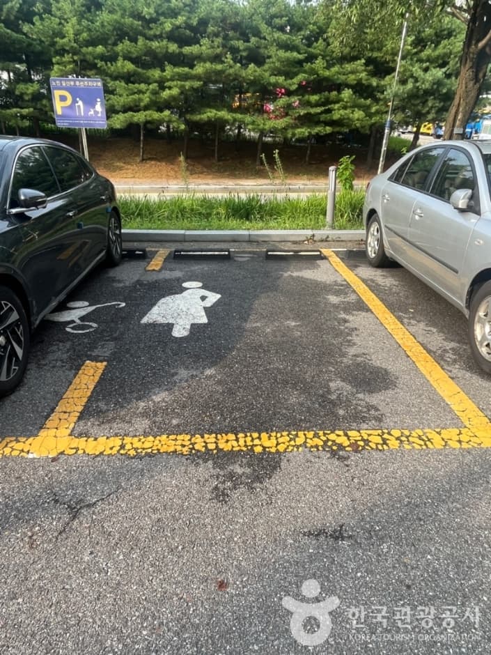 백남준 아트센터_ 6