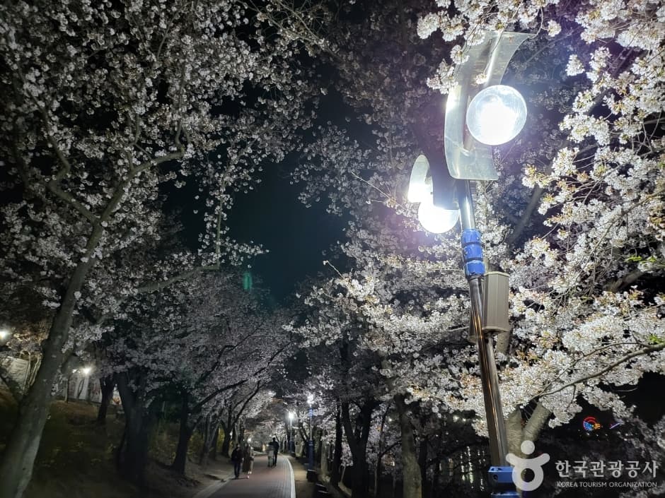 普門湖(보문호)